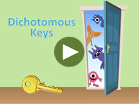 Dichotomous Keys