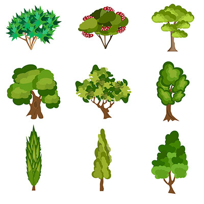 nine different trees