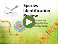 Species Identification Review