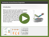 Similarities Across Diverse Organisms