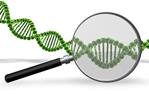 strand of DNA under magnifying glass