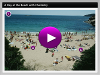 A Day at the Beach with Chemistry player