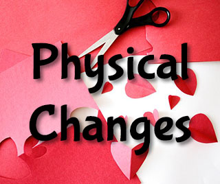 Physical Changes