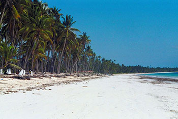 Tropical island beach