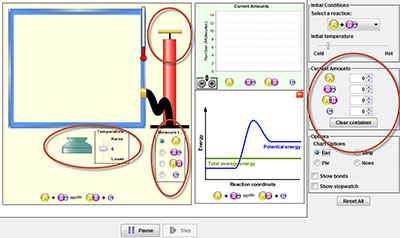 Simulation Setup