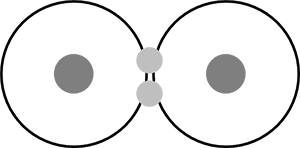 Hydrogen Bonding