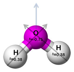 Polarity of Water Molecule