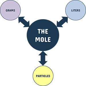 Mole Map