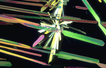 Crystals under a microscope