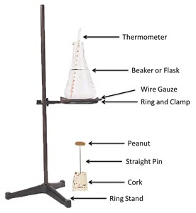 Calorimetry Lab Setup