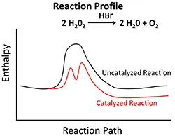 Reaction Profile