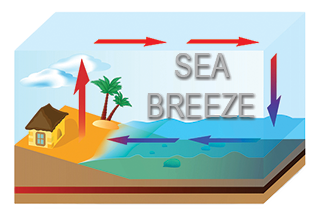 Sea breezes