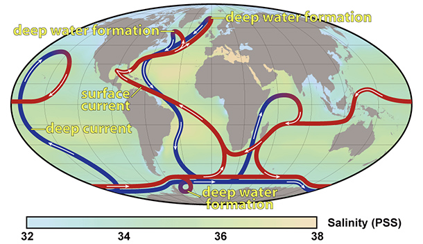 Thermohaline circulation diagram