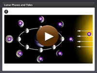 Lunar Phases and Tides Interactivity