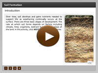 Soil Formation