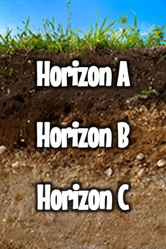 A soil profile