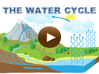 The Hydrologic Cycle