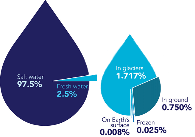 Composition of water on Earth is as follows: 97.5% salt water; 2.5% fresh water, 1.717% glaciers, 0.750% ground, 0.025% frozen, and 0.008% on Earth's surface.