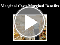 Marginal Costs and Benefits