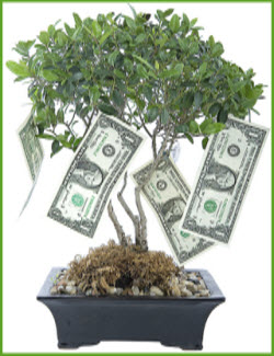 Image of tree growing money