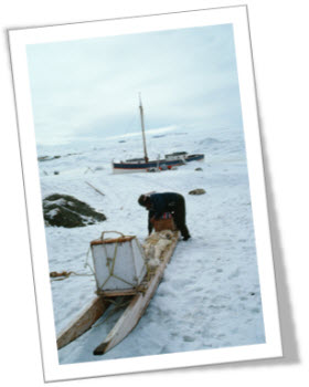 Image of Inuit man with sled and ship in background. 