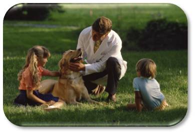 veterinary photo