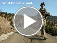 What Do Taxes Fund? Interactivity