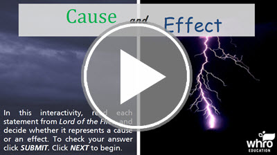 Cause and Effect Review