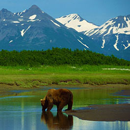 Alaskan wilderness