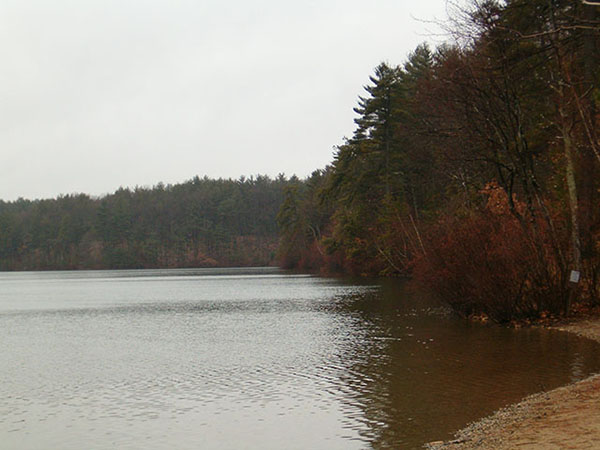 photo of Walden Pond