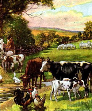 farm animals in a field