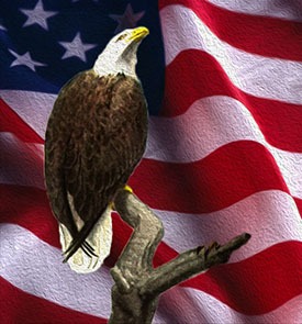 eagle against an American flag