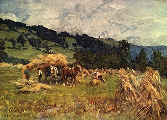 men harvesting grain in a field