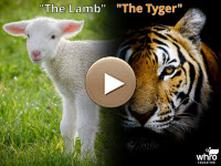 "The Lamb" and "The Tyger" Venn Diagram