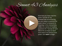 "Sonnet 43" Analysis