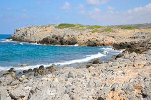 The Shores Of The Aegean Sea