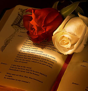 roses on a copy of Romeo and Juliet