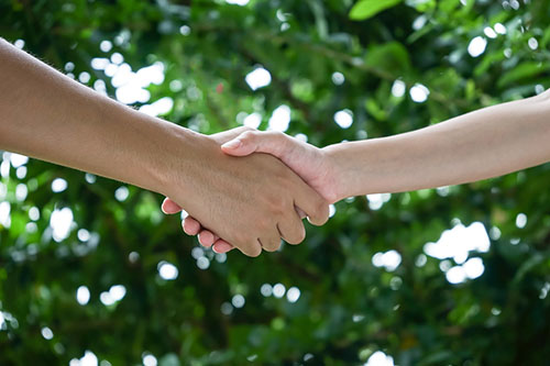 two people shaking hands with a bush in the background