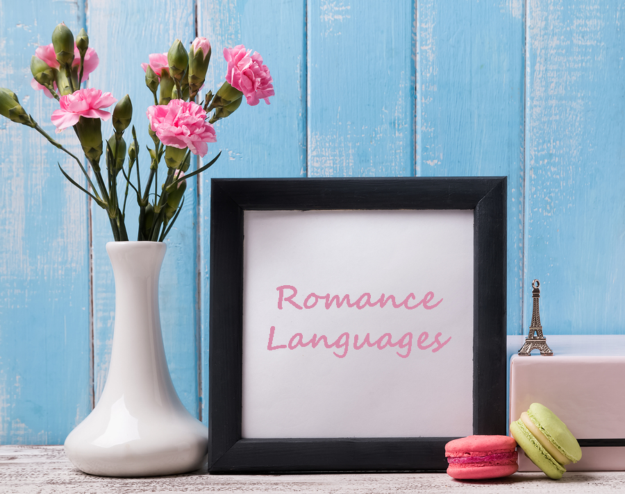 flower vase next to a picture frame with "romance languages" written inside, a pink and yellow macaroon and a statue of the eiffel tower are on the right 