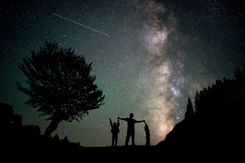 family of three people walking at night near a tree