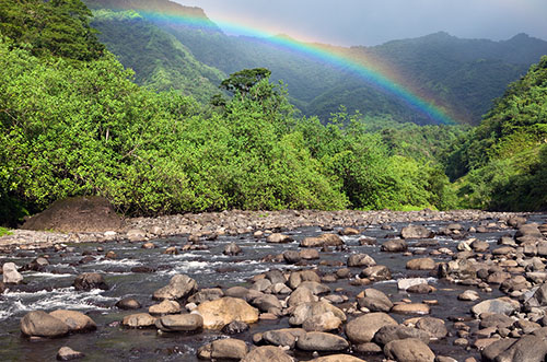 Mountain, river, and rainbow and Tahiti