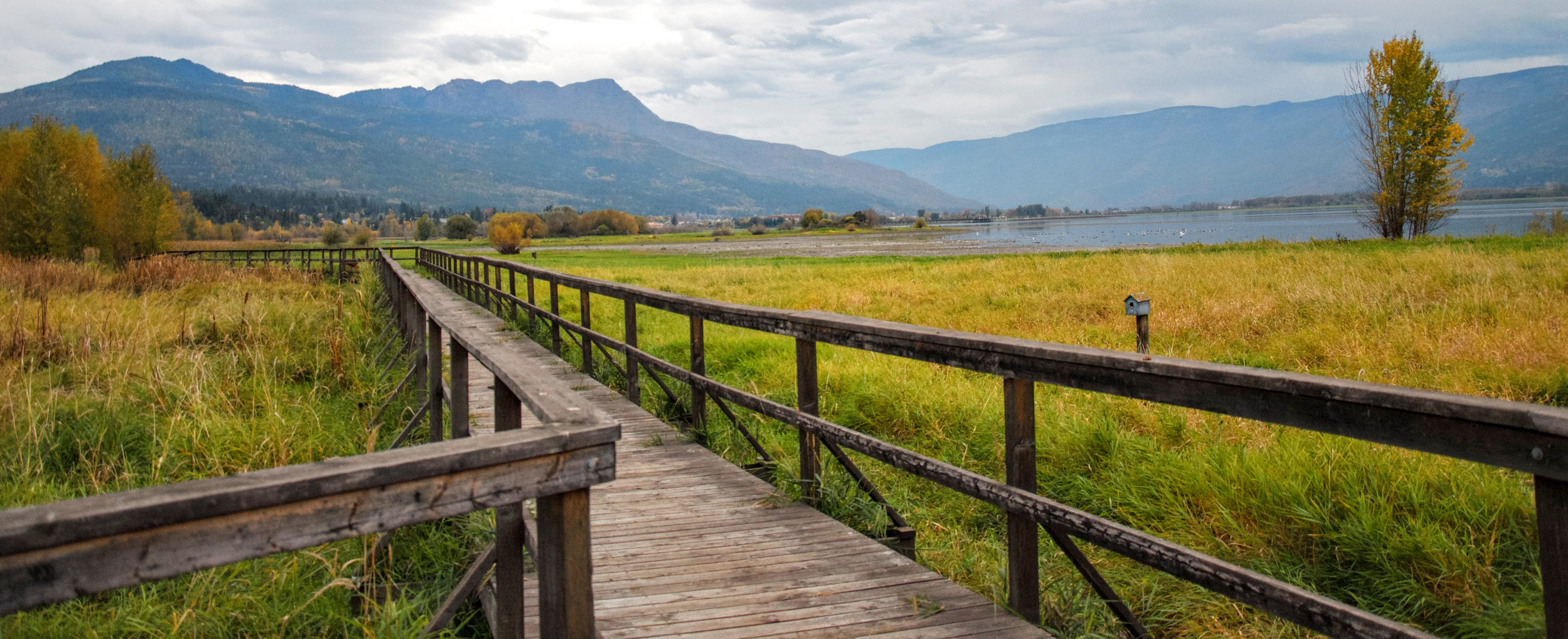 wooden trail with hand rails winding through a field