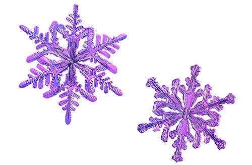 snowflakes