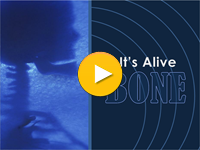 It's Alive: Bone