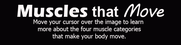 Muscles that Move