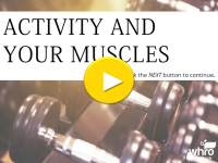 activity and your muscles