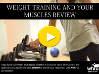 weight training and your muscles review