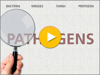 Pathogens