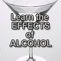 Alcohol Effects