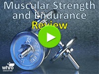 Muscular Strength and Endurance Review